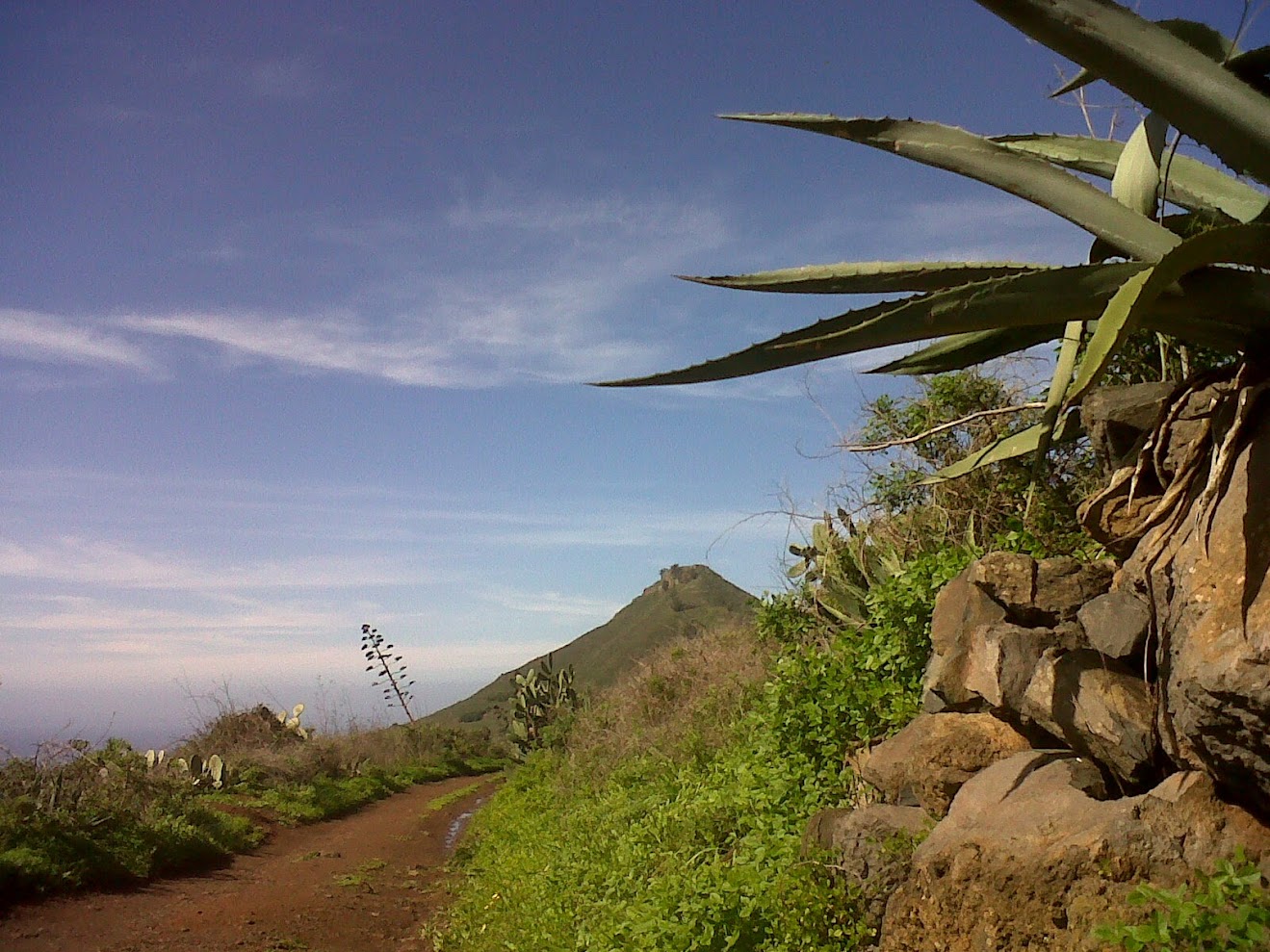 Antiguo camino Tegueste - copia - copia